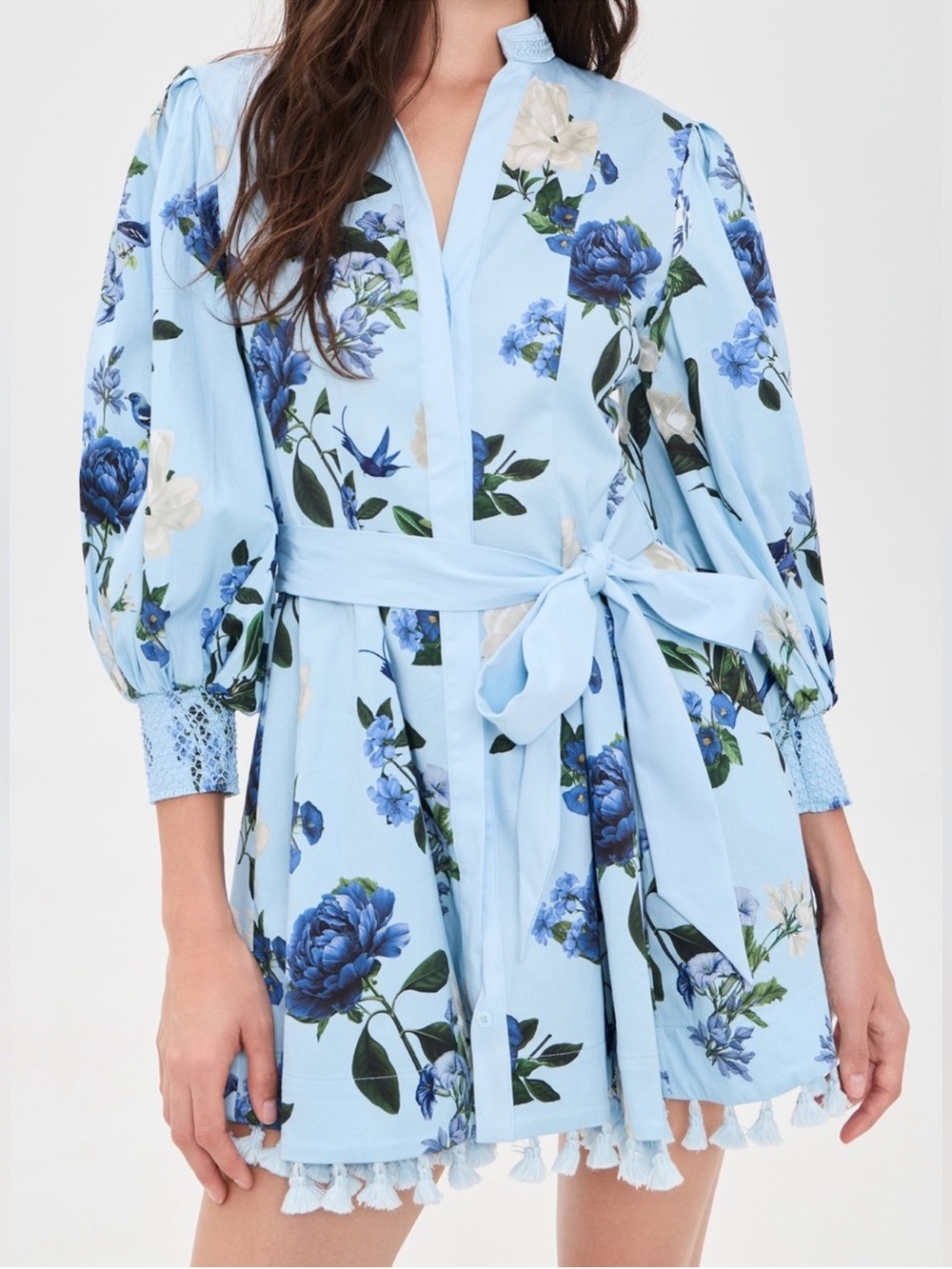 ALICE + OLIVIA Lucy Dress Floral Long Sleeve Minidress in Fly Away Blue
